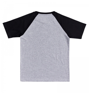 T-shirt Boy star 2 raglan XSSK grey heath