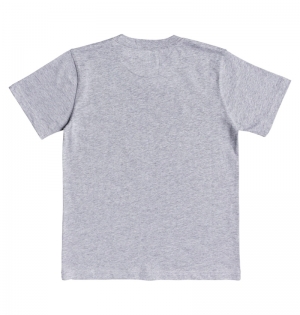T-shirt Boy Circle star 3 XSSK grey heath