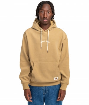 Hoodie SBXE cord  KHA Khaki