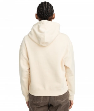 Hoodie cornell  TEC0 parchment 