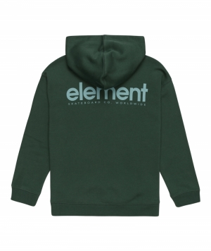 Hoodie simple logo  Trekking green