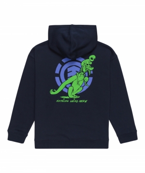 Hoodie nothing weird  Eclipse navy