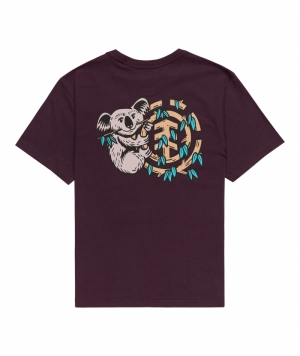 Tee koala  Plum perfect 