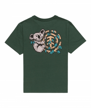 Tee koala  Trekking green