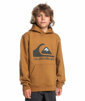 Hoodie big logo  CMT0 bone brown