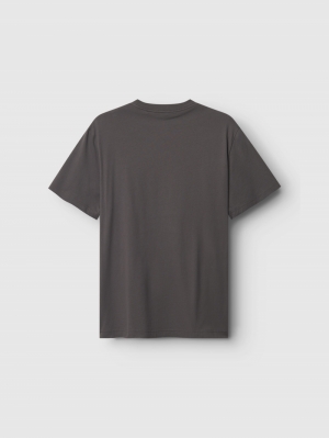 Tee Dune Logo SS Gots Grey