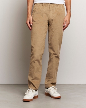 Chino Motion  Harvest Gold