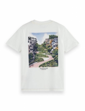 T-shirt Artwork Scenery 6870 Swan