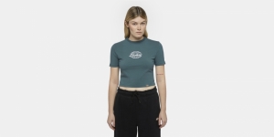 Tee Dickies Globe Lincoln green