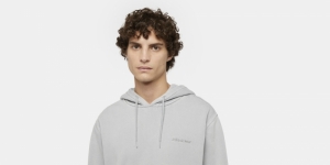 Hoodie Plentywood Gray