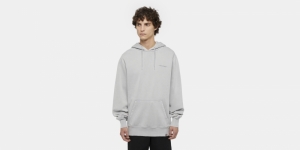 Hoodie Plentywood Gray