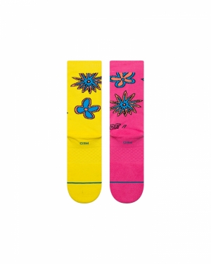 3 Feet High Crew Multi