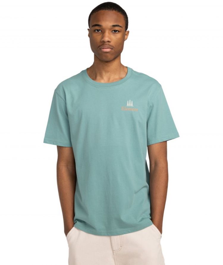 SBXE REMEMBER SS BKW0 TRELLIS