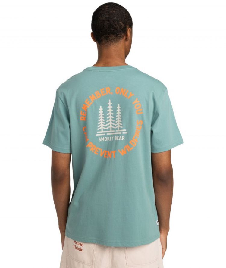 SBXE REMEMBER SS BKW0 TRELLIS