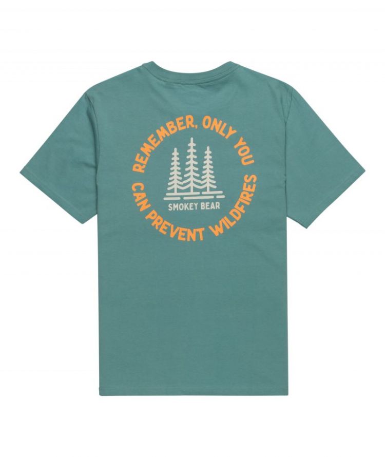 SBXE REMEMBER SS BKW0 TRELLIS