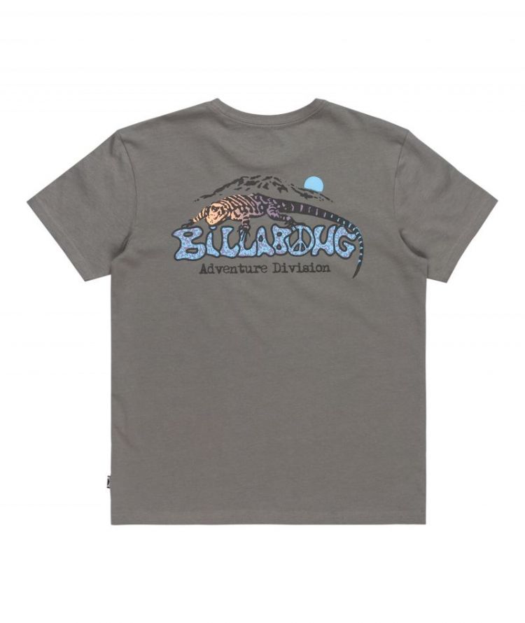 LIZARD MOUNTAIN SS KPC0 SLATE GREY