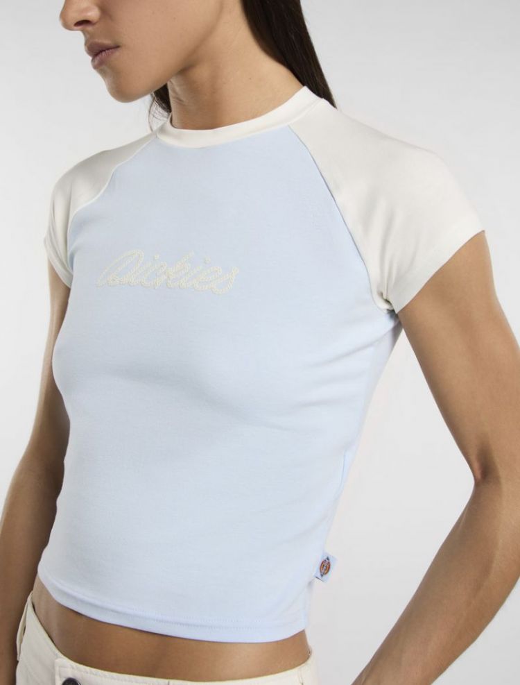 DICKIES ROPE SS TEE W K541 Skyway