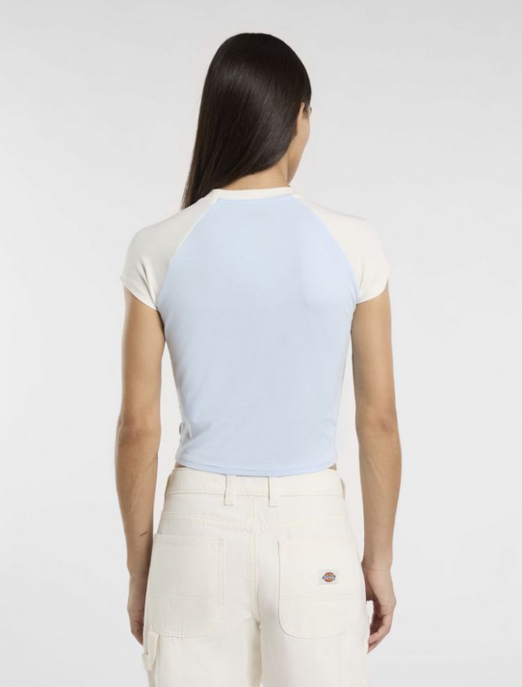 DICKIES ROPE SS TEE W K541 Skyway