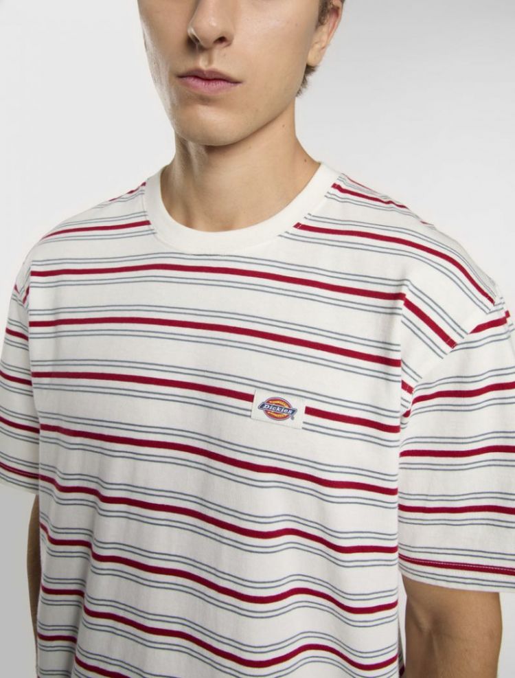 LEWISTOWN STRIPE SS TEE C481 Egret
