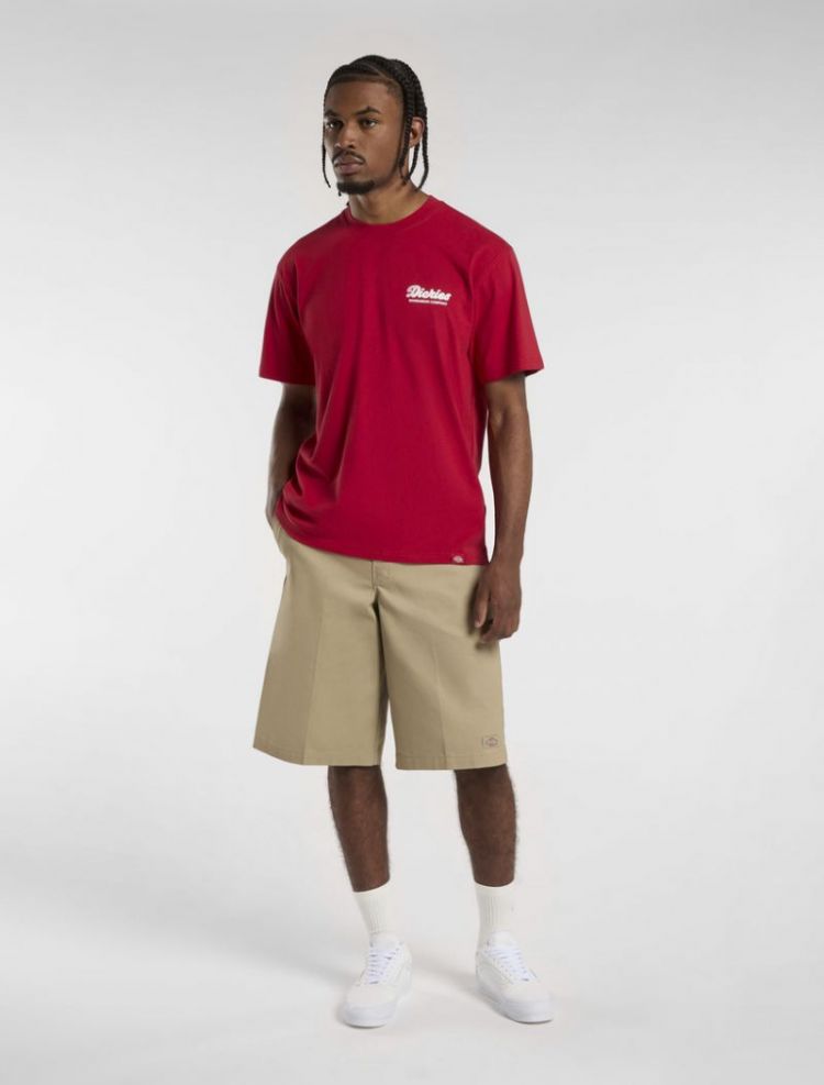 LEWISTOWN SS TEE 0ER1 English Re