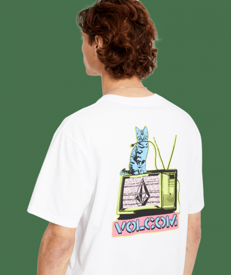 CATV BSC SST WHT WHITE