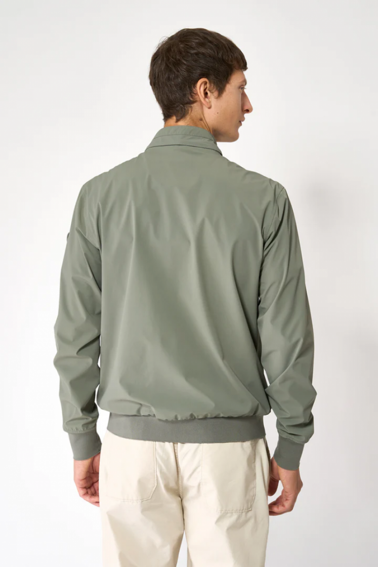 Gabon Castor Grey Castor Grey