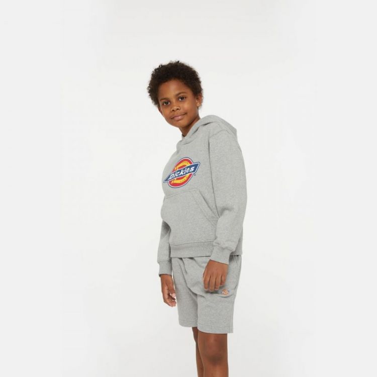 YOUTH LOGO HOODIE HEATHER GRAY 0H21 HEATHER GR