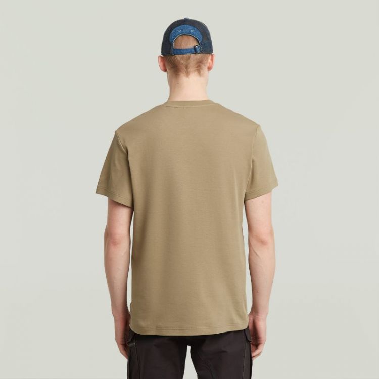 B444 safari