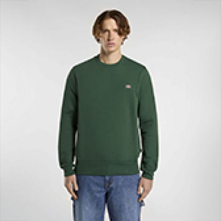 OAKPORT SWEATSHIRT PINE NEEDLE PIN1 Pine Needl