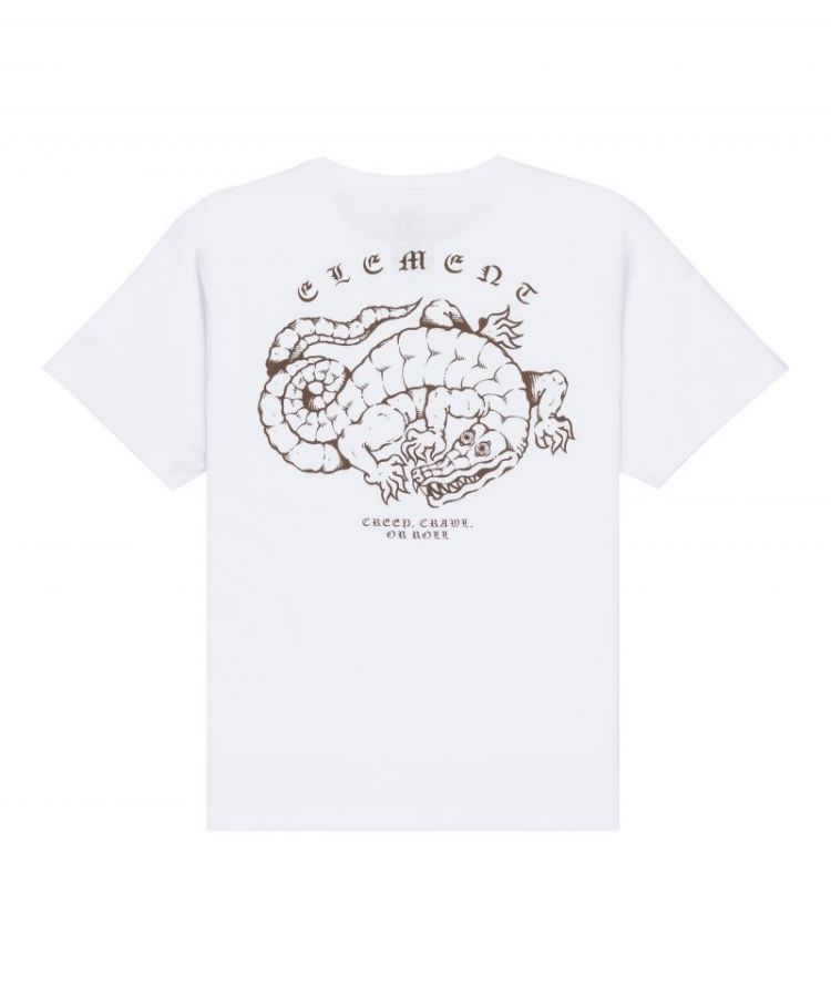 ALIGATOR SS Y WBB0 WHITE