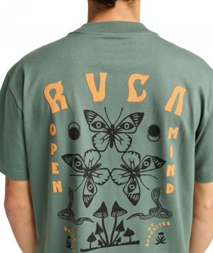 BUTTERFLY POSTER SS GNB0 GREEN