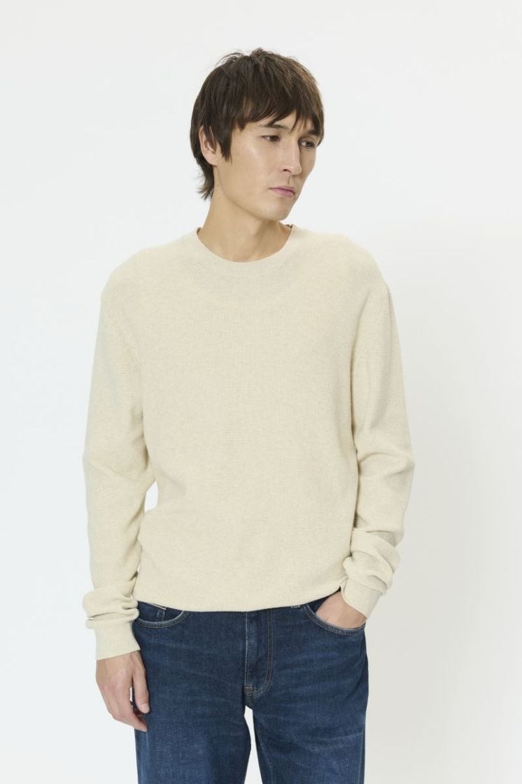 1411071 Oyster
