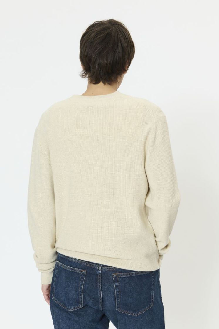  1411071 Oyster