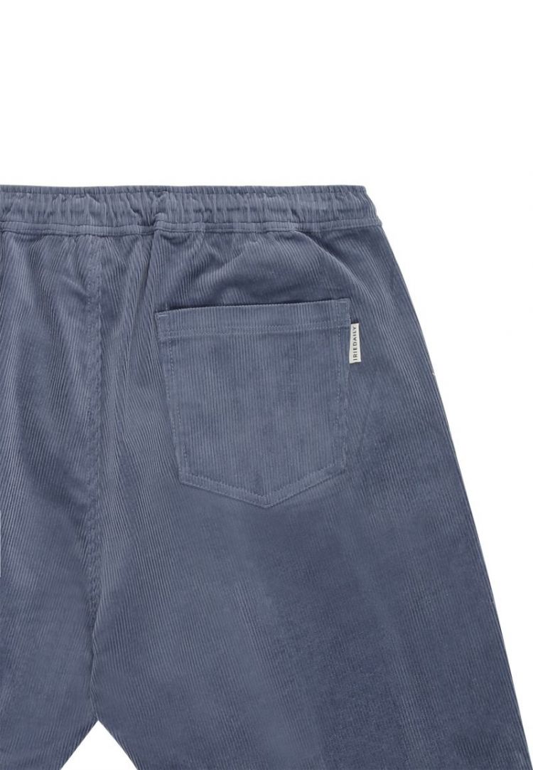 Corvin Short 343 greyblue