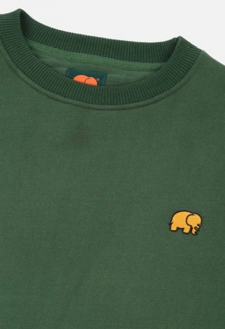 Organic Essential Sweater Gree Greener Pasture