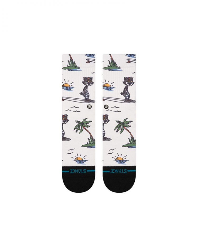 KOOL KATZ SURF CREW CVS CANVAS