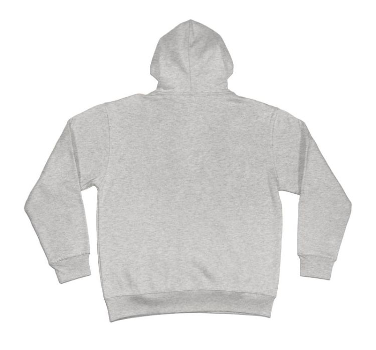 Hoodie NNSNS Embroidered Heather Grey