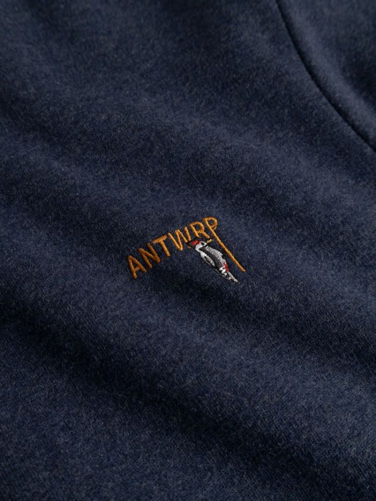 BSW571-L008 000408 - DARK N