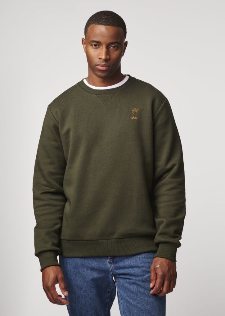 BSW573-L008 000526 - EVERGR