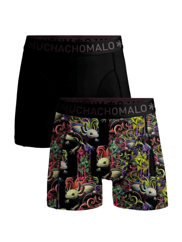 Men 2-pack Boxer Muti