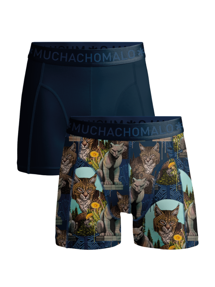 Boxer Men 2-pack Print/blue